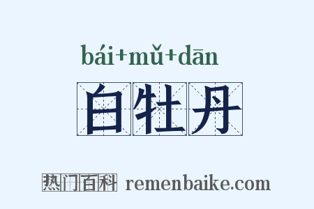 白牡丹是什么意思的图片